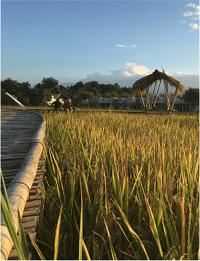 Ation | Conectando la innovación Australia y América Latina