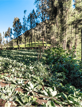Ation | Conectando la innovación Australia y América Latina
