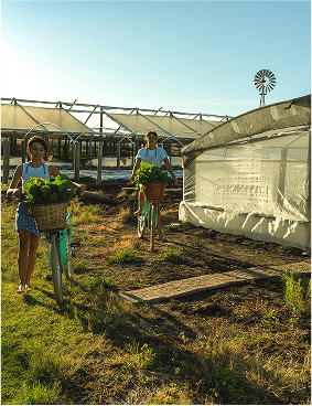 Ation | Conectando la innovación Australia y América Latina