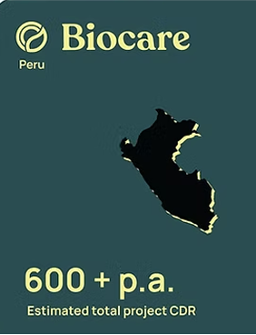 world-applications-2